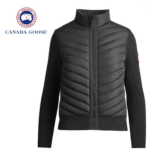 CANADA GOOSE カナダグース Hybridge Knit Jacket ニット×ライトダウン スタンドカラー キルトジャケット 6830L CANADA  GOOSE (カナダグース) Add. 宮崎